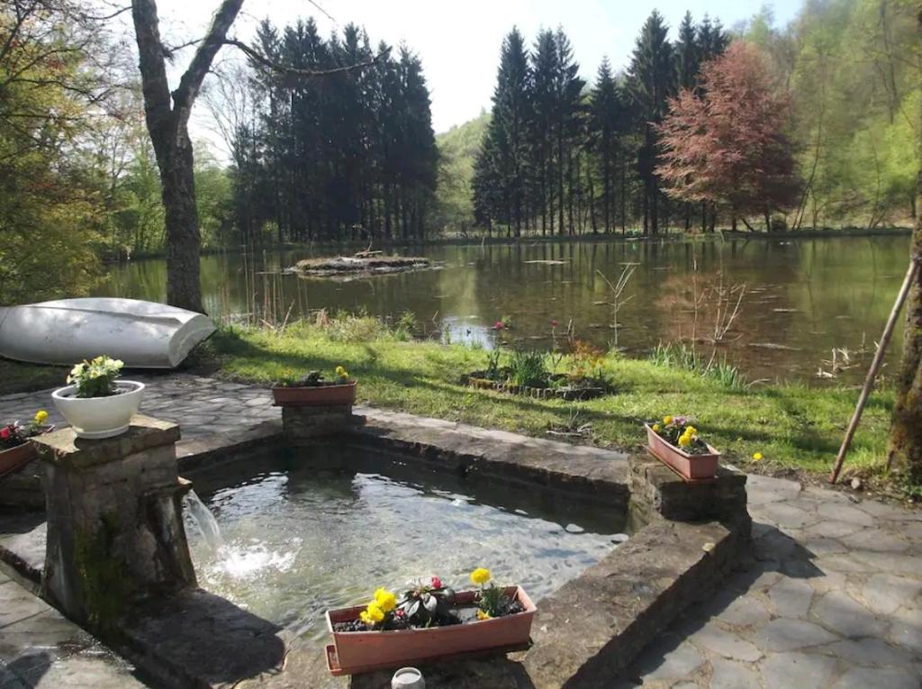 PROPRIETE BORDEE D'ETANGS, PROPICE A LA DETENTE photo 3