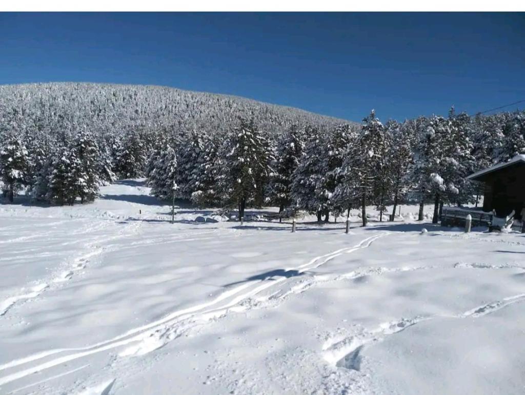 Apartamento en el pirineo catalan photo 3