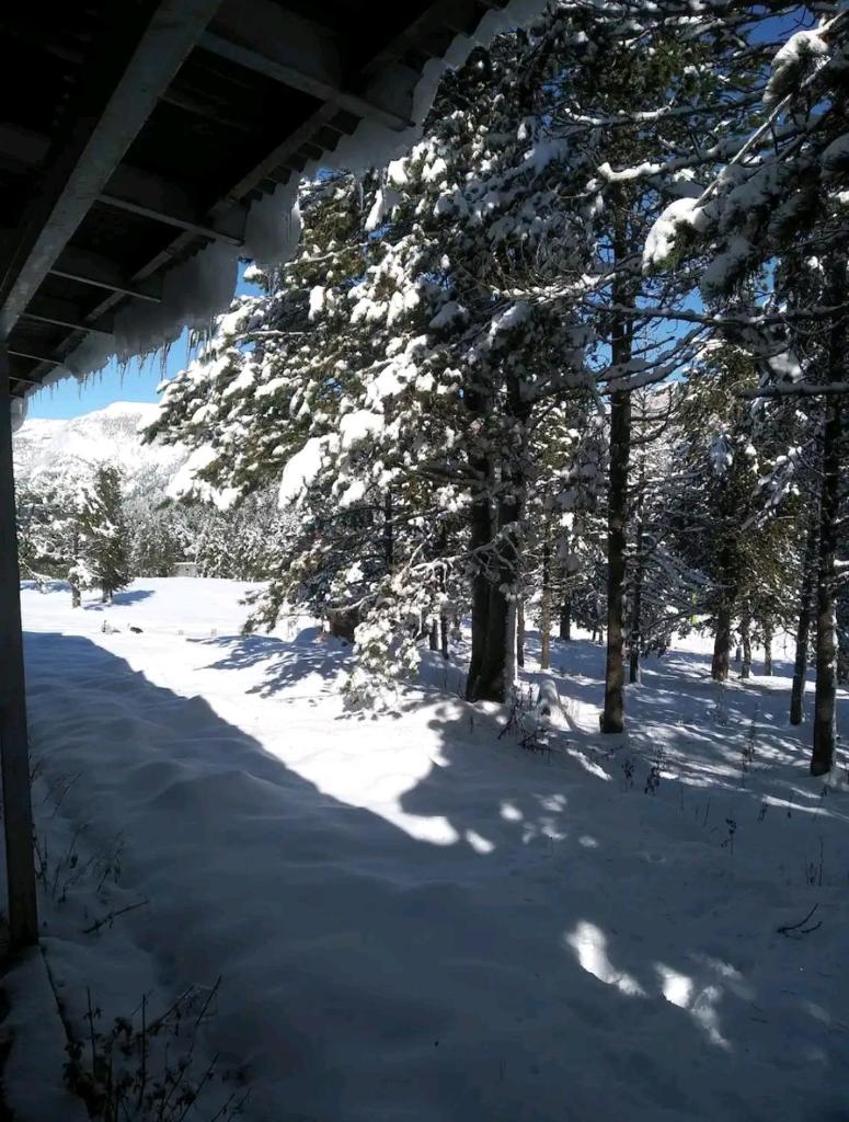 Apartamento en el pirineo catalan photo 2