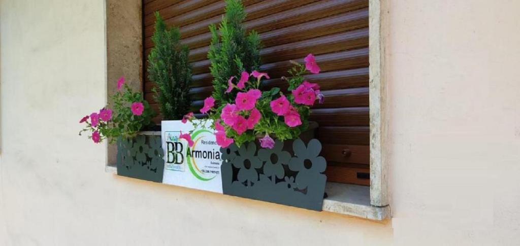 B&B Residence Armonia Sulmona photo 1