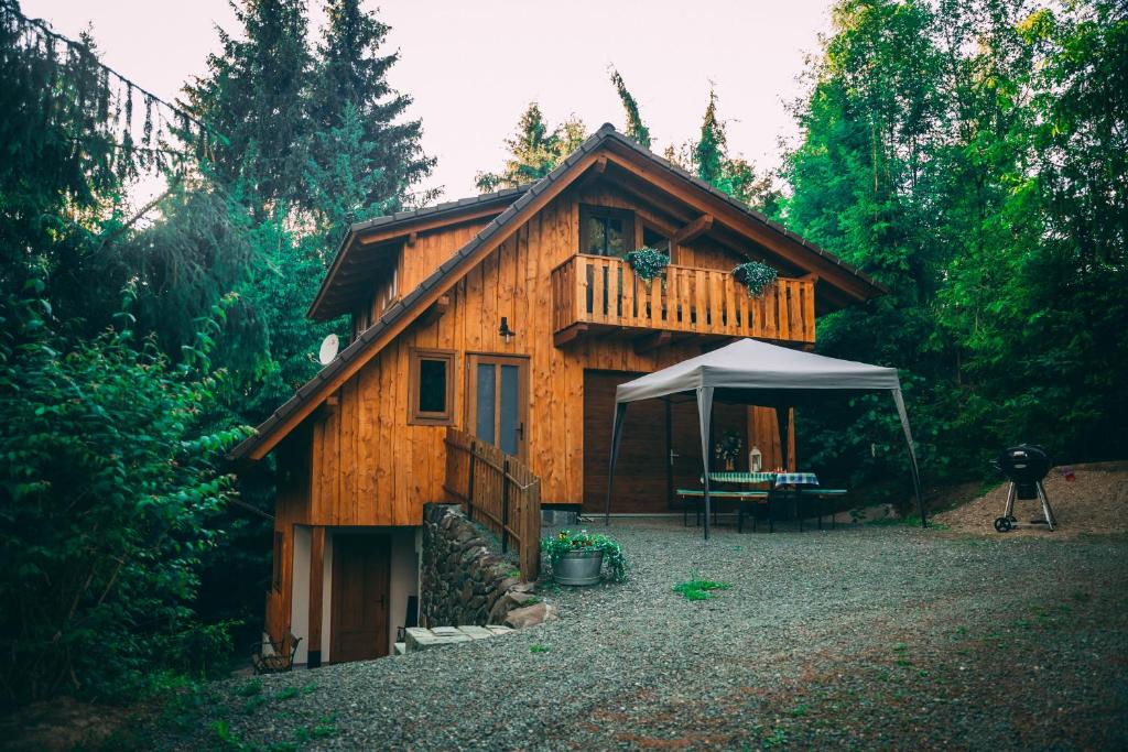 Casa de Vacanta Colibita Veche- langa lac photo 1