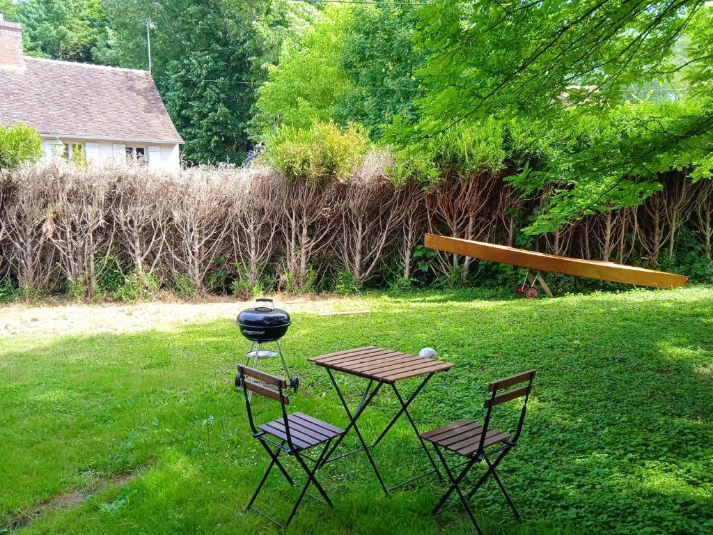 Maison de 3 chambres avec jardin clos et wifi a Cezy photo 1