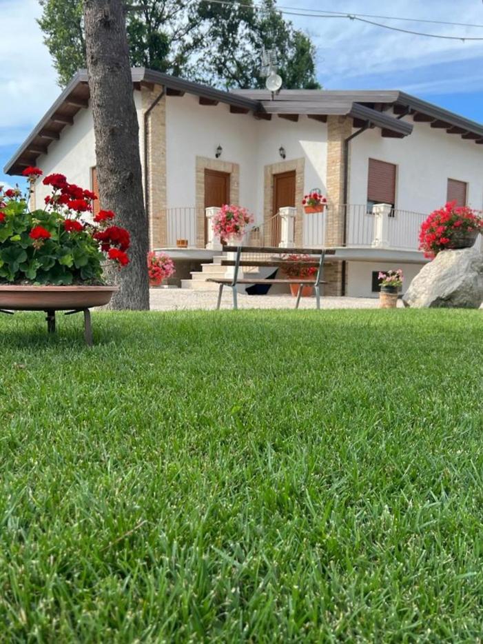Campagna D'aMare