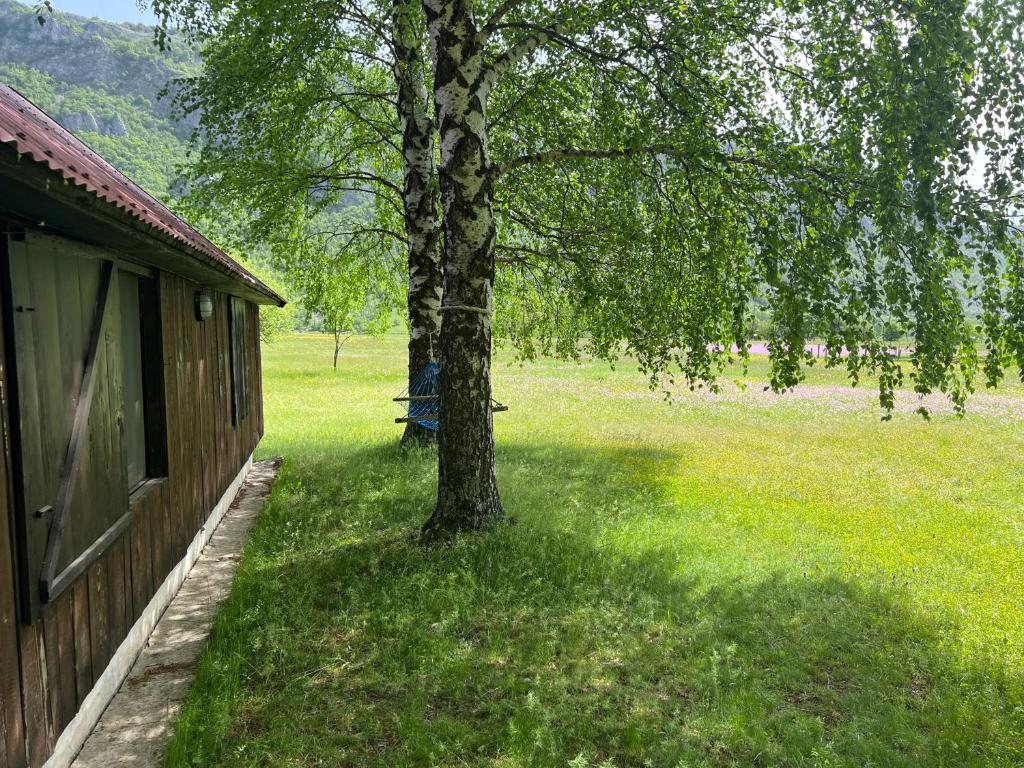Mountain Cottage Komarnica photo 4