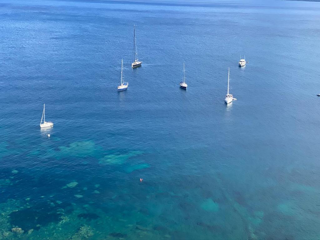 Appartement vue mer et îles italiennes photo 4