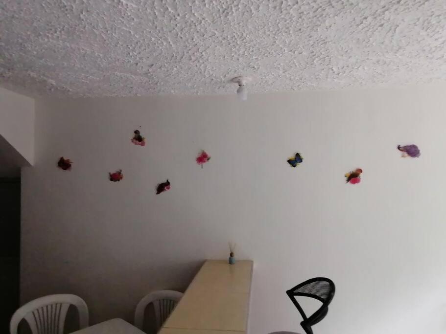 Bienvenido a tu segundo hogar a dos cuadras del centro recreaciónal lagos club comfatolima photo 3