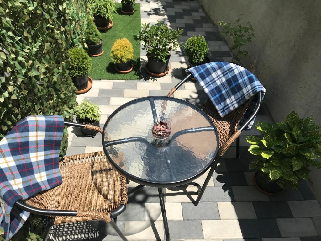 Hotel Visitor photo 1