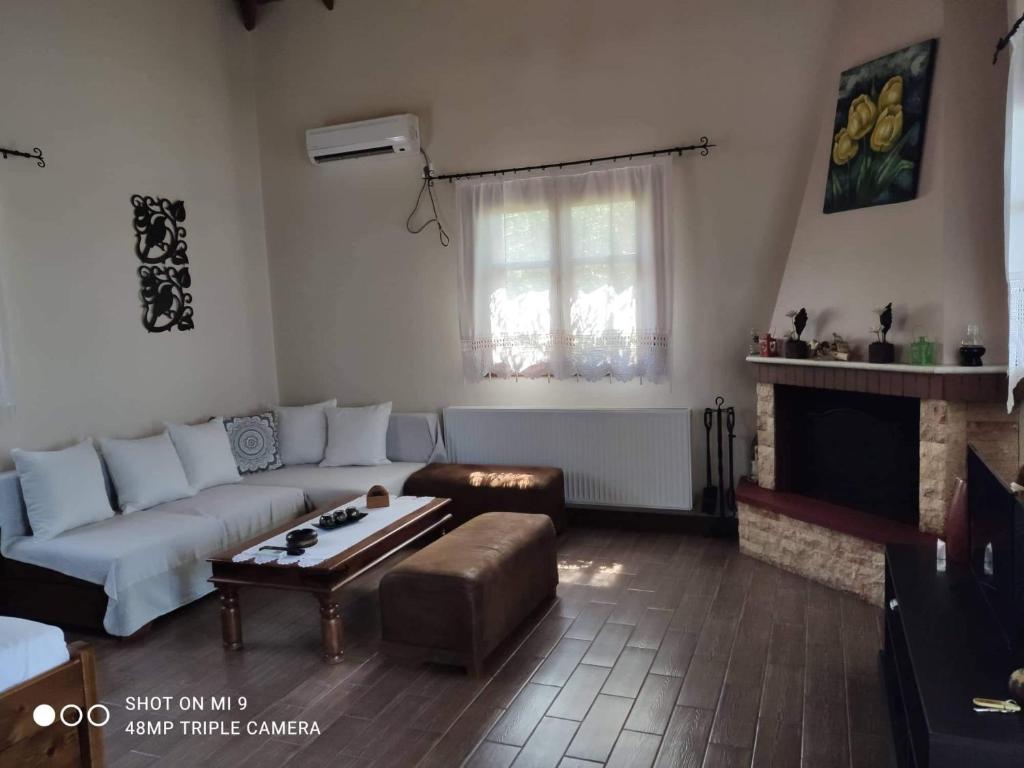 Elia house 1 astoning sea view among the olive trees photo 4