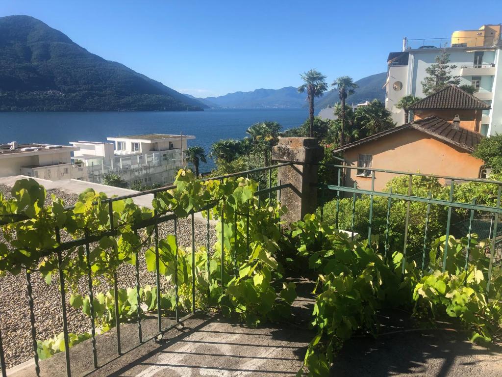 Tanja's Comfort Apartment Brissago photo 2