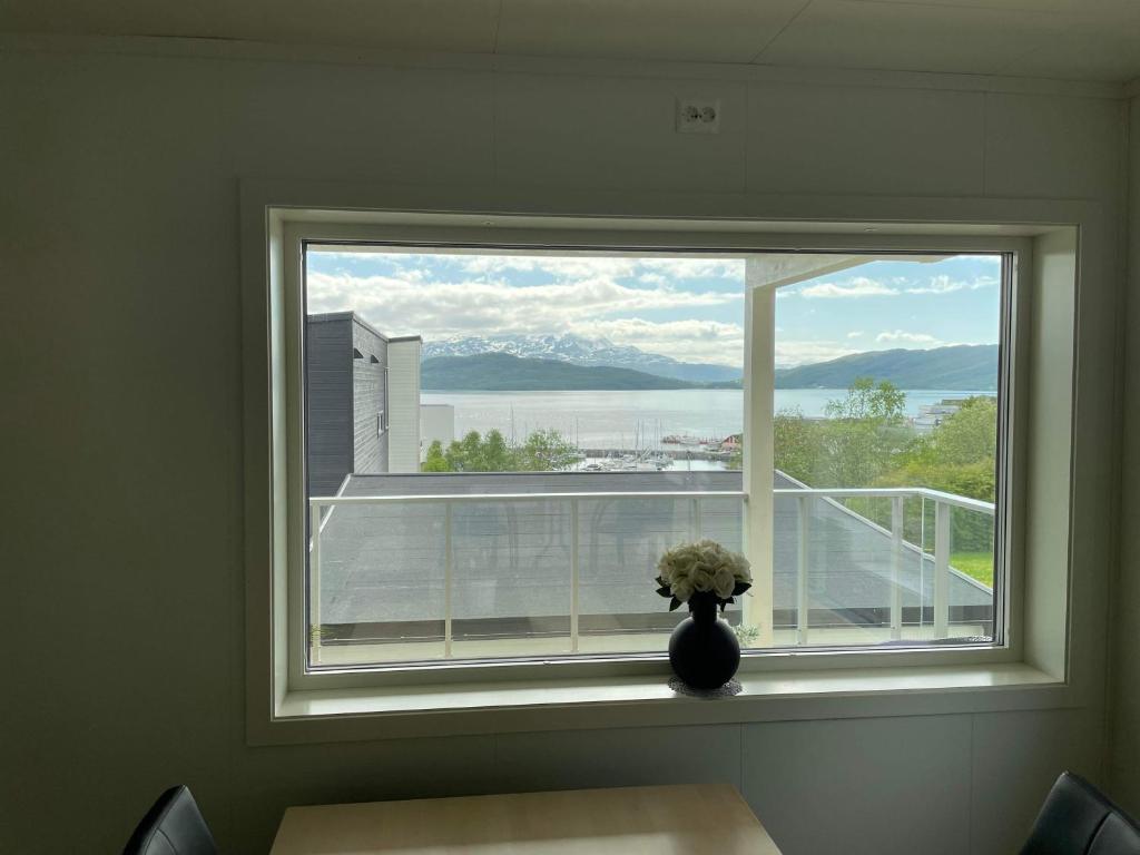 Veien til Senja photo 3