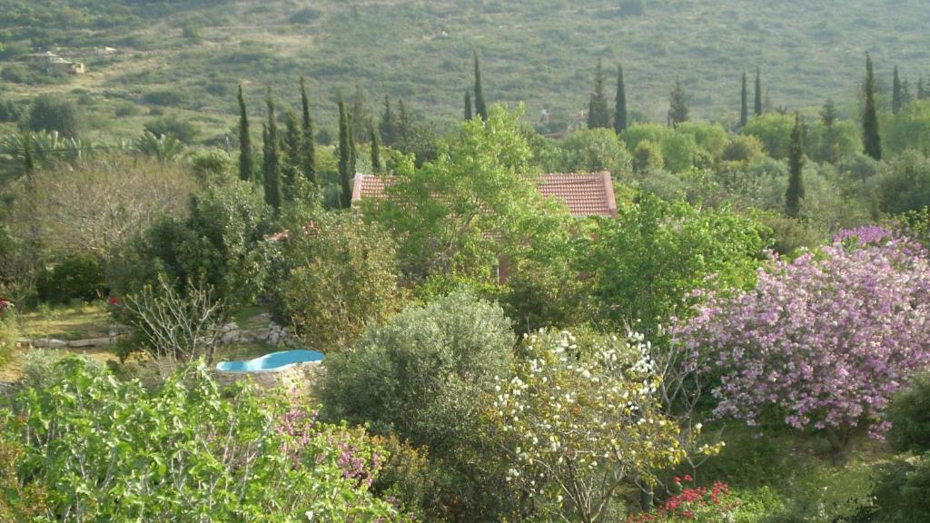 Villa Adama photo 3
