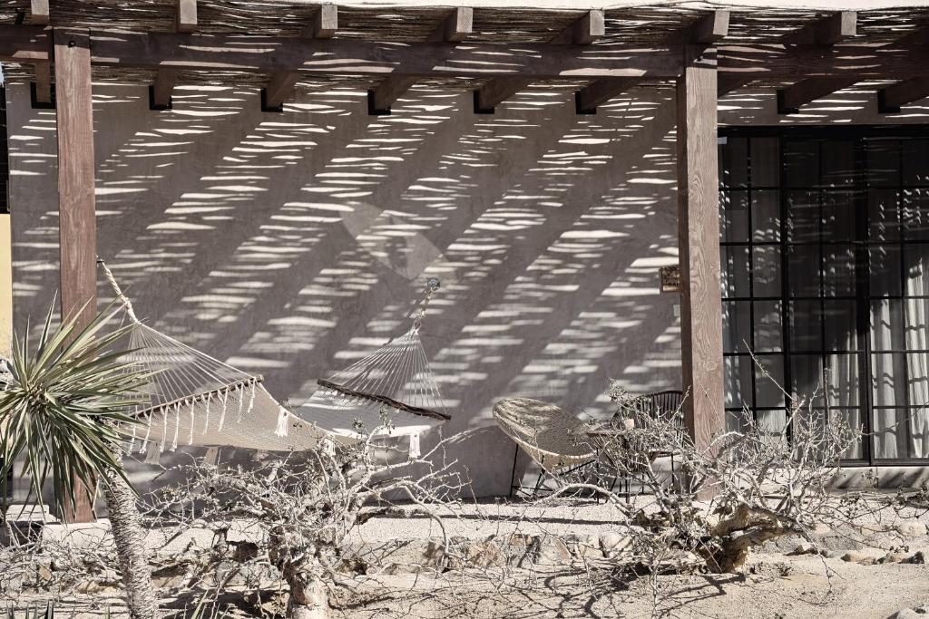 Desierto Azul photo 3