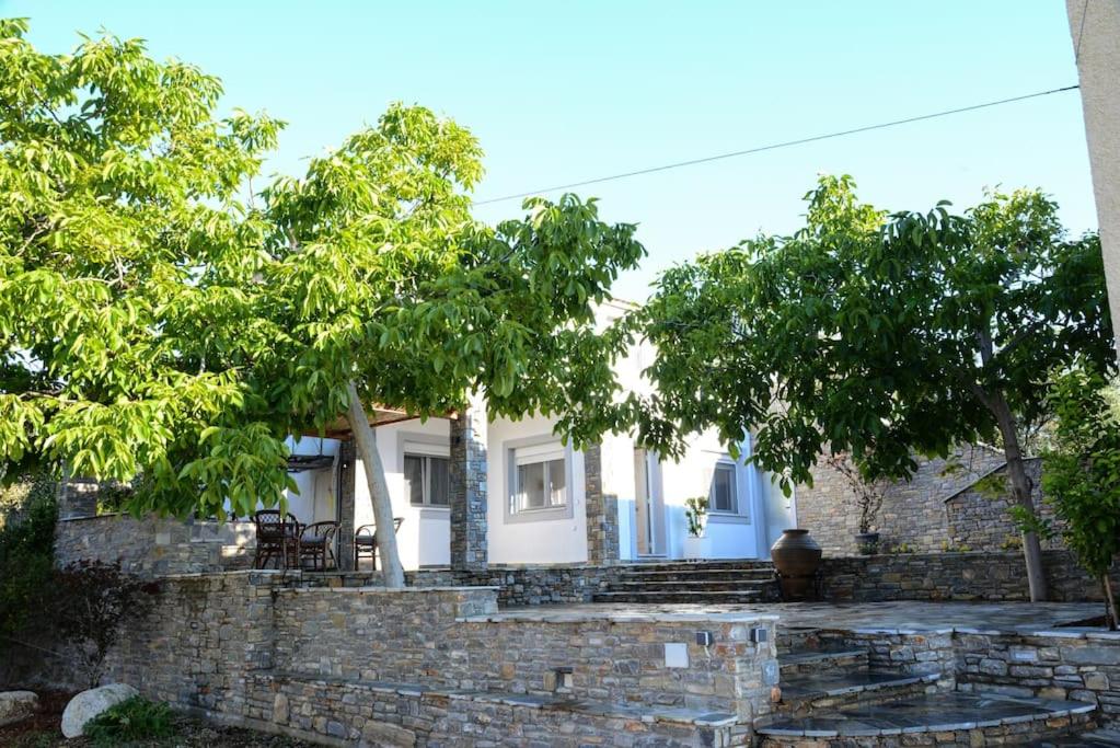 Nies apartments 1 photo 4