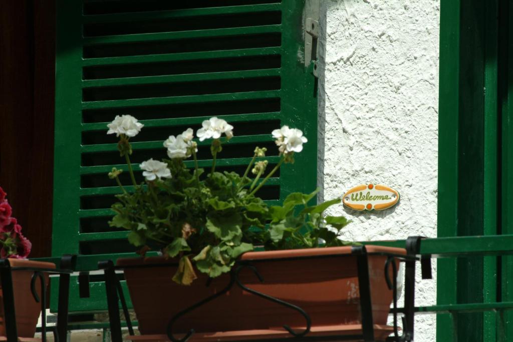 B&B Castagneto dell ETNA photo 3