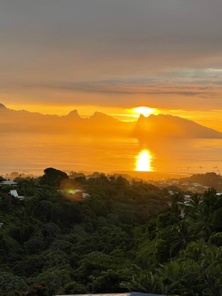 Tahitininalodge 1 photo 4