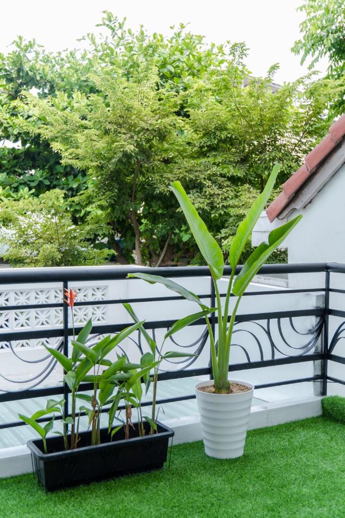 Zuchi's Home&Apartment