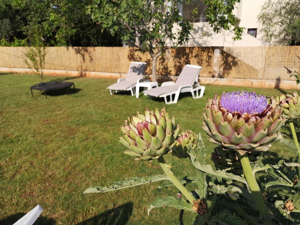 Chillout Apartments with Pool Patricia photo 2