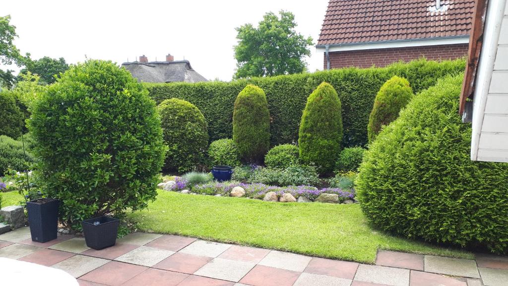 Deichblick photo 2