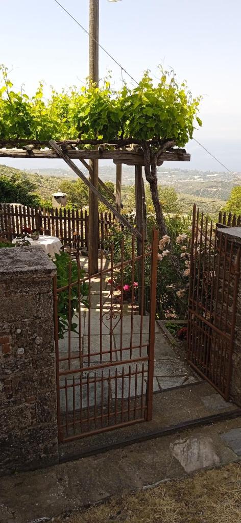 Αρχοντικο Θεανω Archontiko Theano photo 1