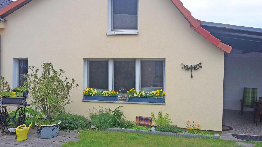 Ferienhaus "Libelle" Objekt ID 12111-6 photo 1