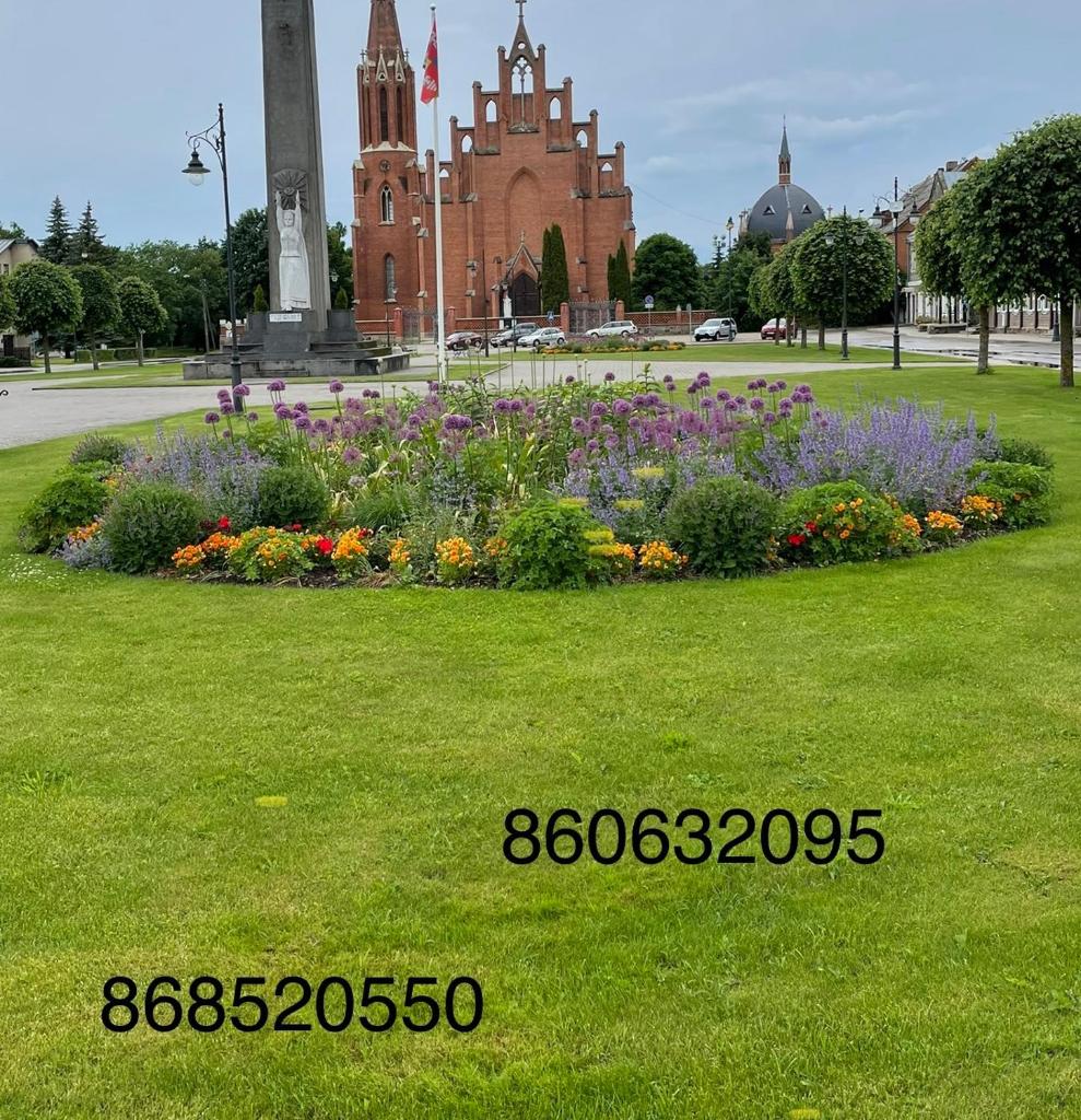 Butas Senamiestyje photo 1