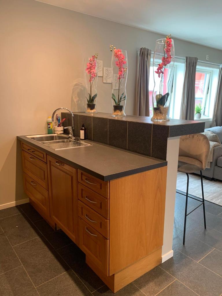 Notodden Sentrum Apartment NO 8 photo 1