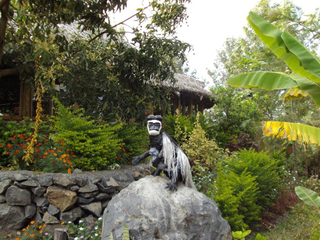Meru Mbega Lodge photo 1