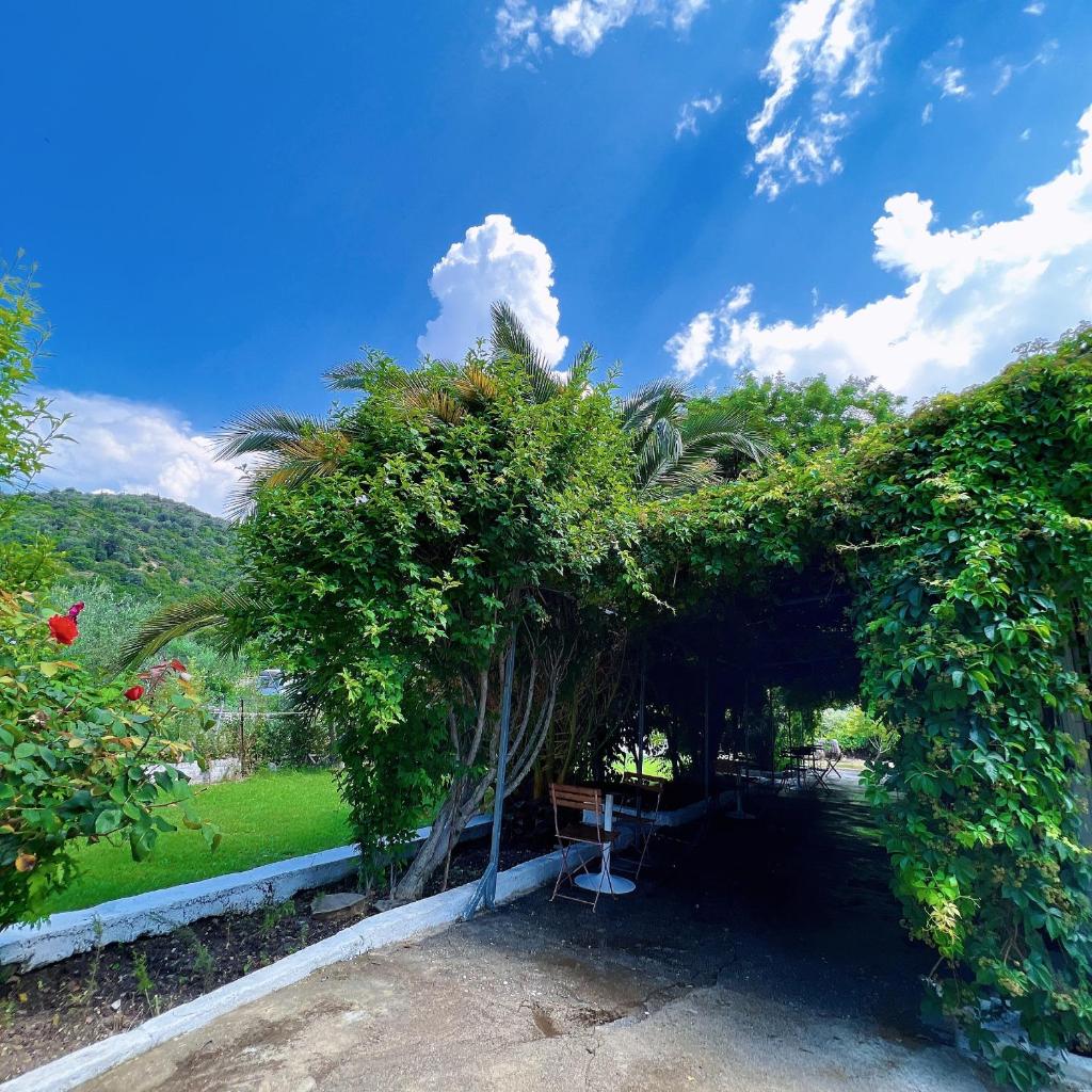 Garden Villa Naza photo 4