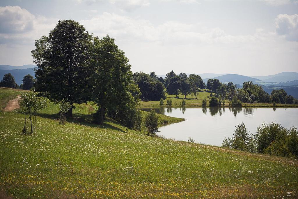 Penzion U školy photo 2
