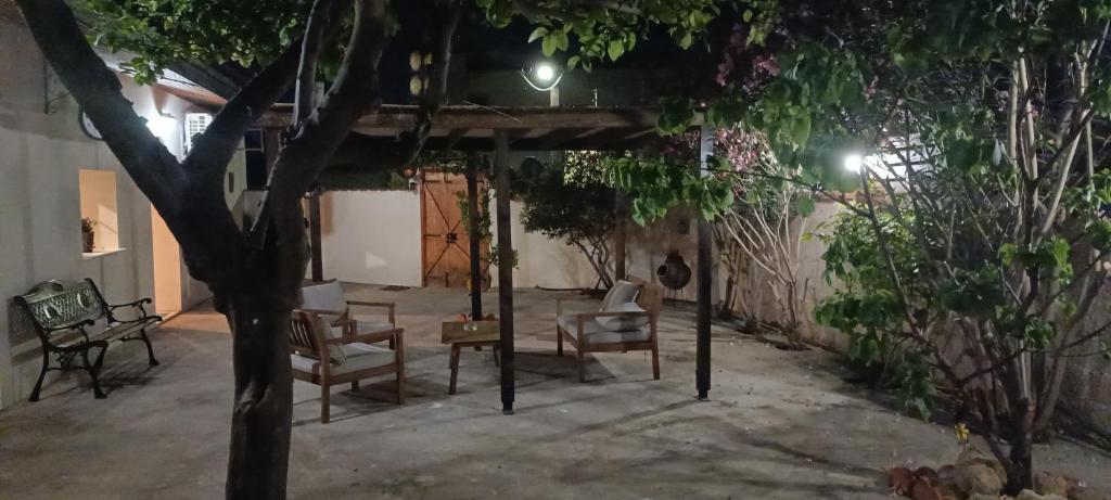 Lemon Tree Courtyard photo 3