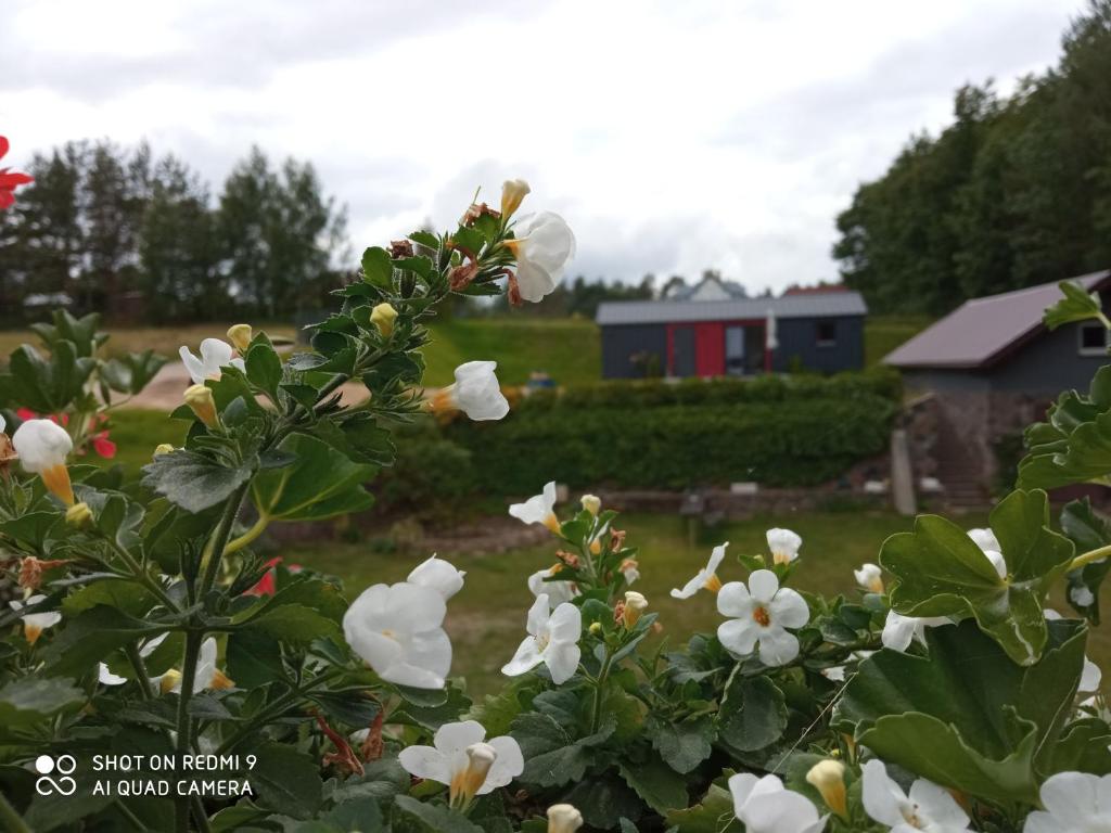 Domek na Jodłowej photo 2