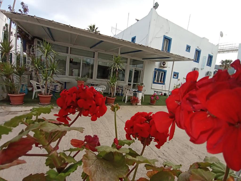 Pay Otel photo 2