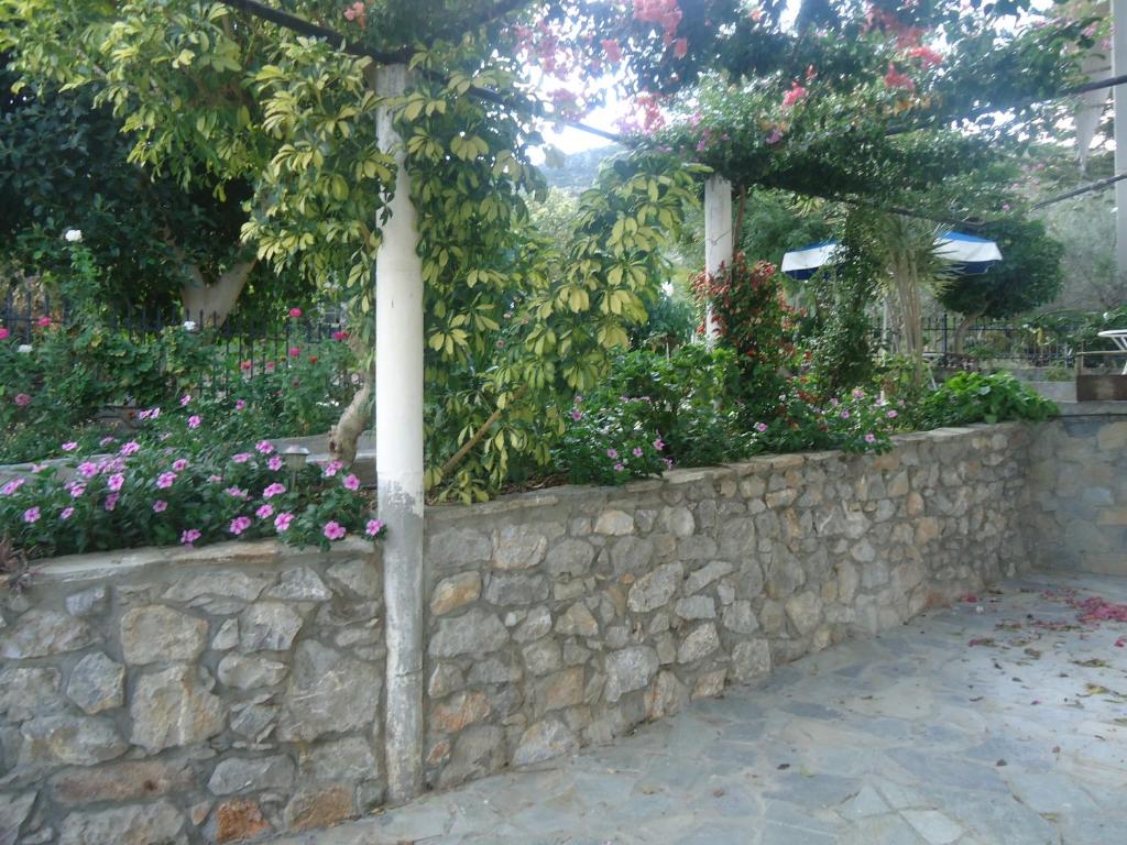 Villa Popi photo 4