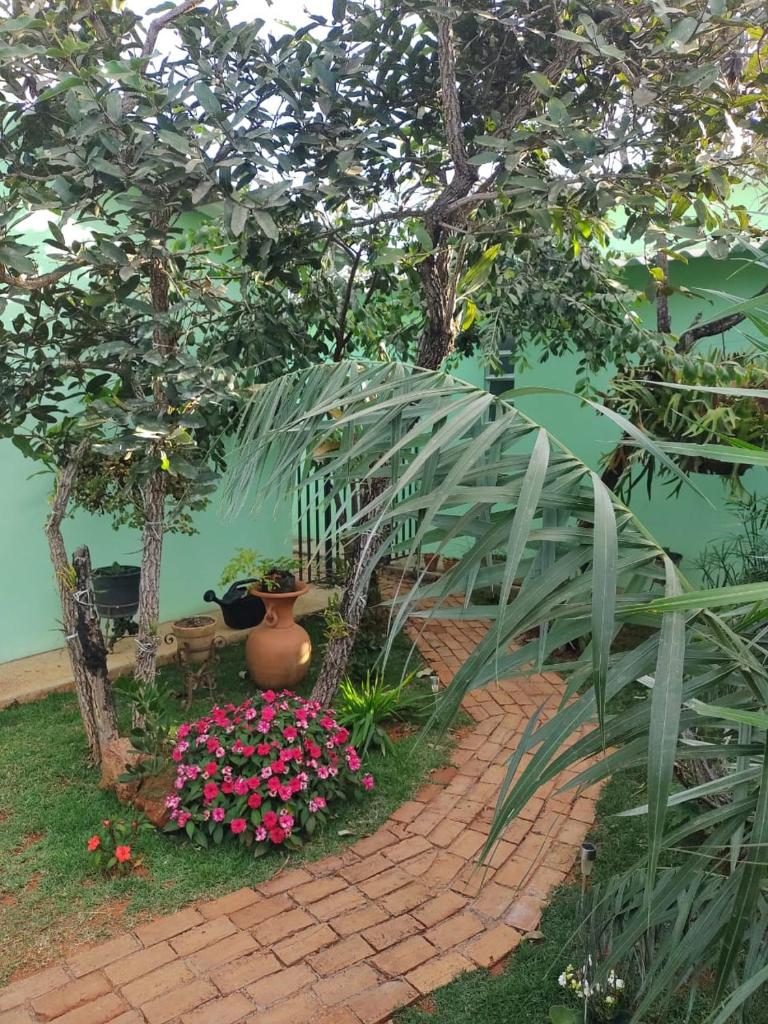 Flores do Cerrado photo 1
