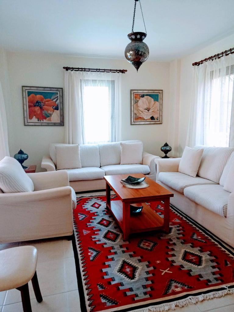 Villa Oliva Houses1 photo 3