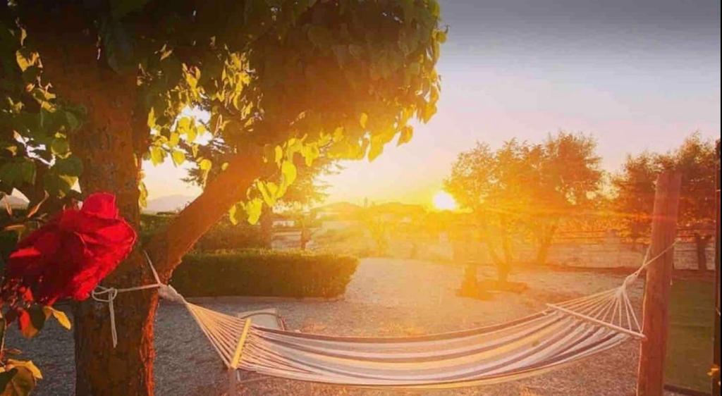 Finca Foremana - Tranquil country villa near Granada with pool table, BBQ, outdoor cinema, darts, games, plunge pool and hiking photo 1