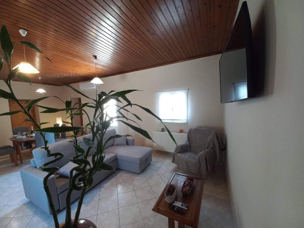 Casa Constans photo 3
