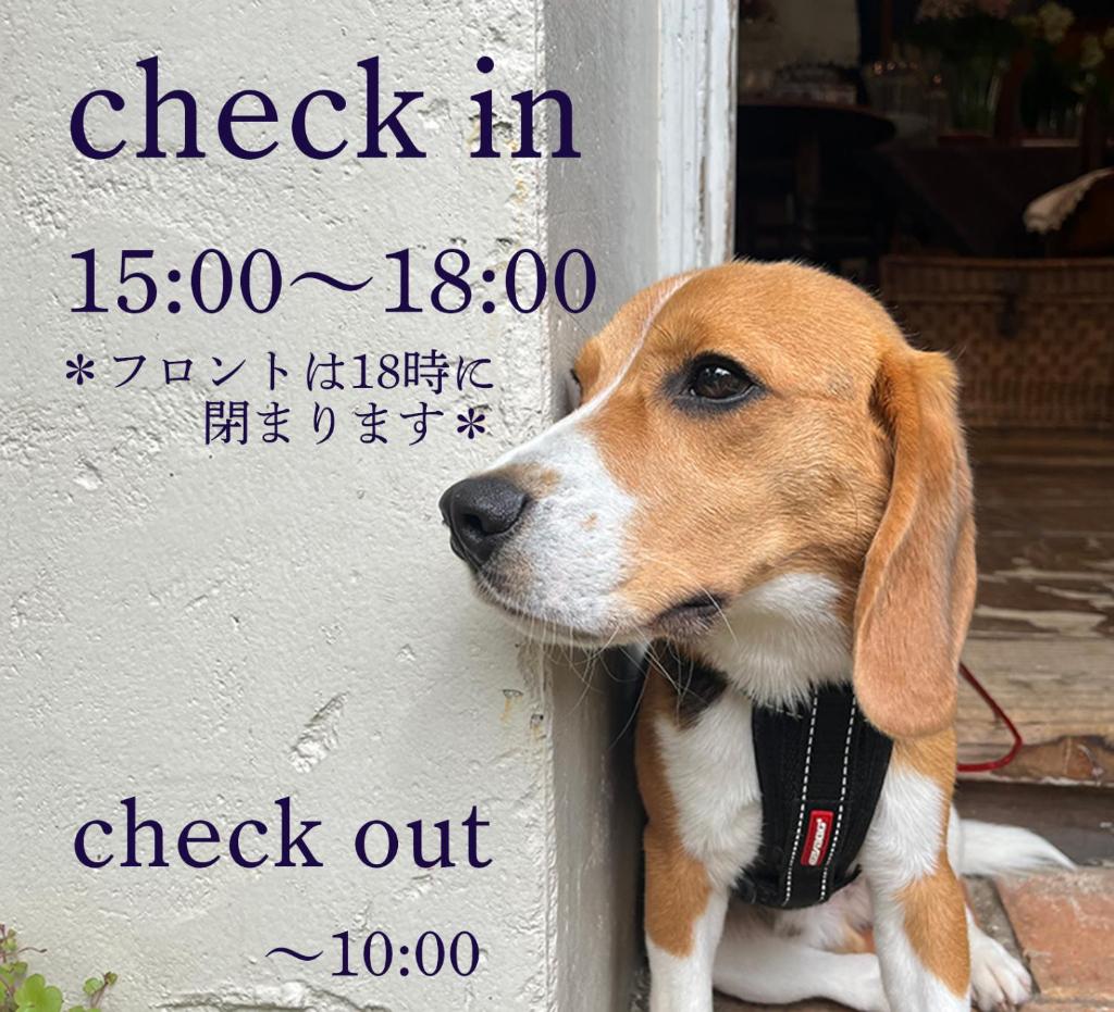 Kamakurayama Holiday Flat photo 2