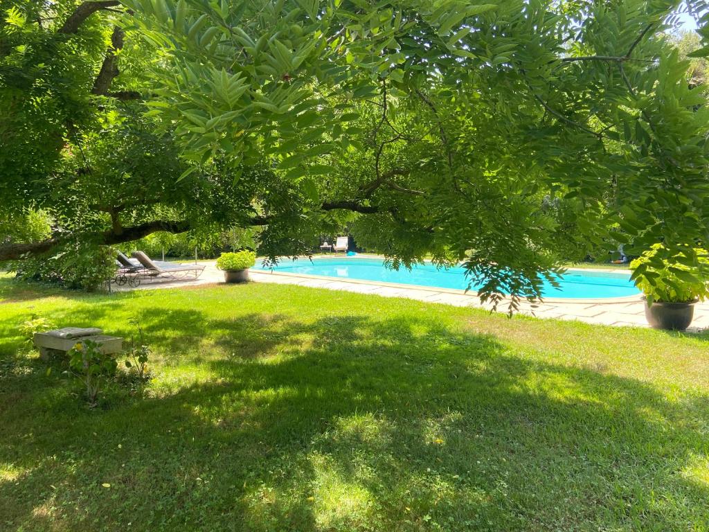 Villa de Miha photo 2