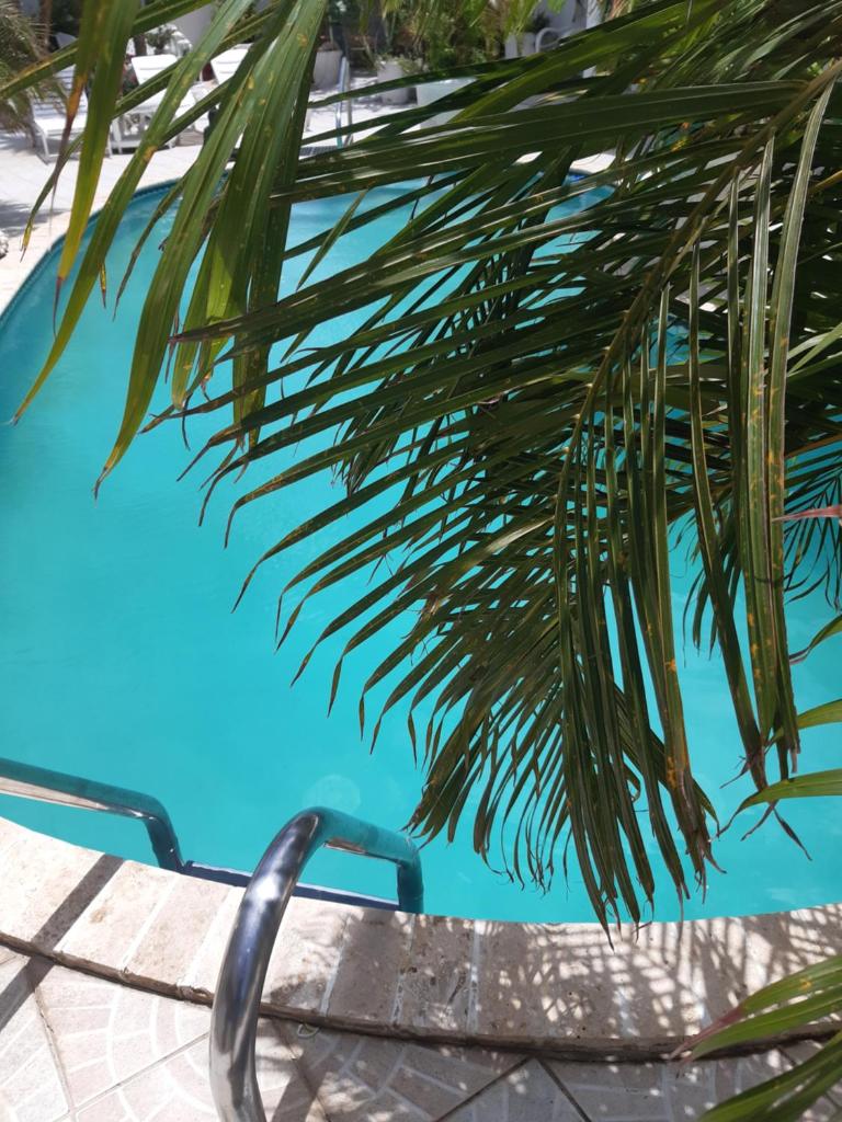 Harmony Boutique Hotel & Apartments photo 2