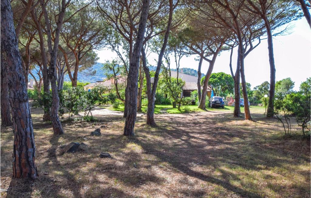 Beautiful Home In Budoni With 1 Bedrooms And Wifi