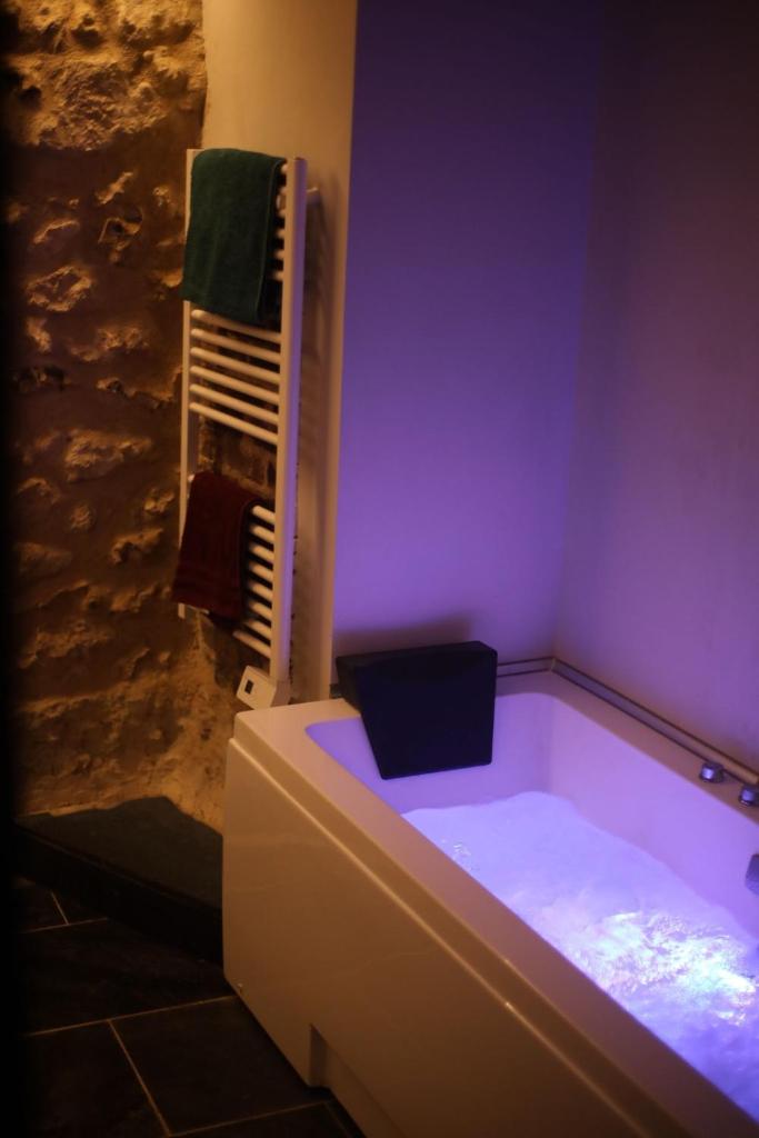 La Montrieuse, Chambre individuelle avec sauna et baignoire spa photo 4