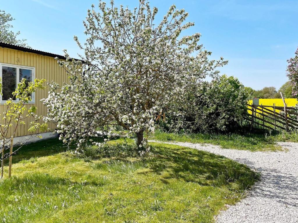 Holiday home Romakloster photo 2