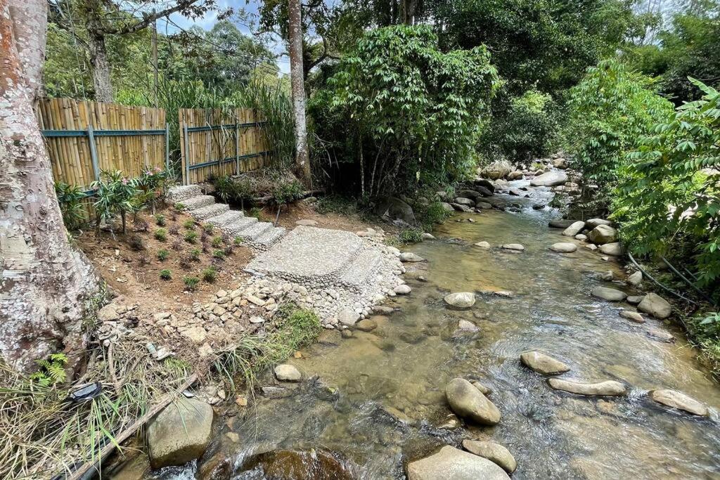 Villa Emerald: 3 Bedroom Pool Villa Near River photo 4
