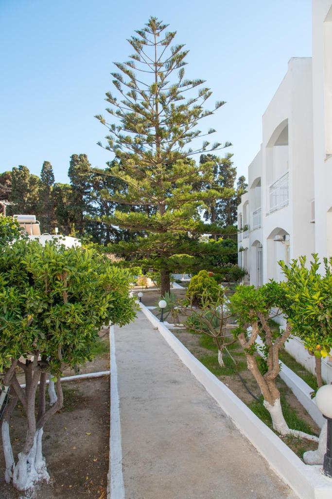 Irene Hotel Leros photo 3
