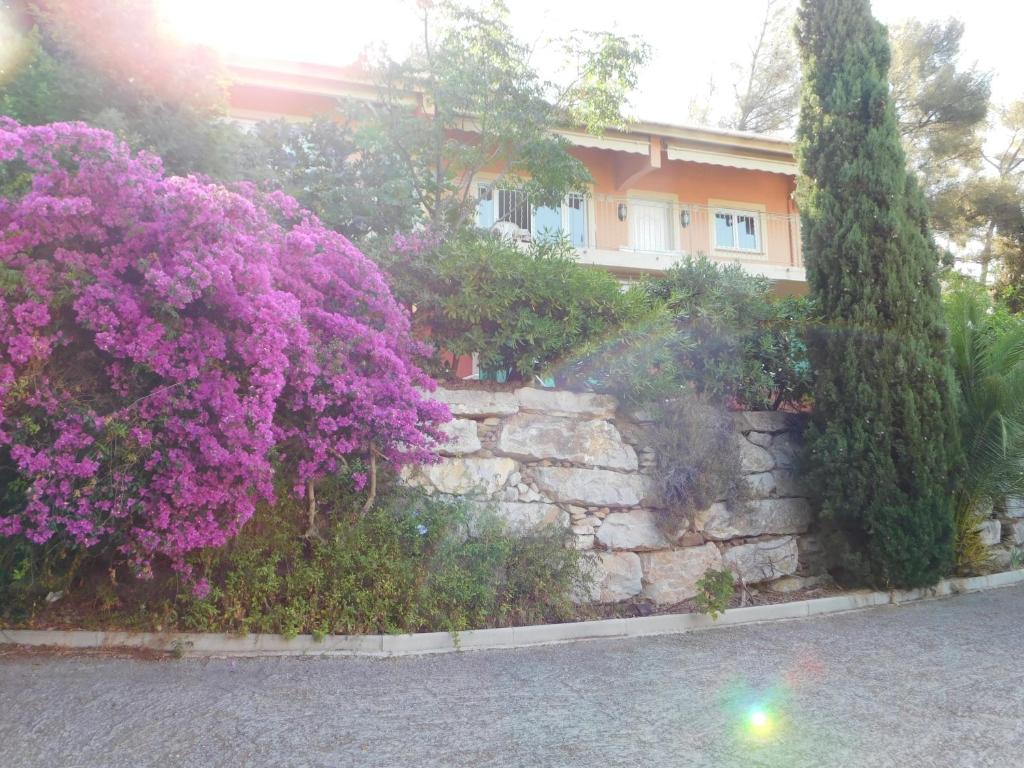 Villa 54 - Plage Aiguebelle 250m photo 2