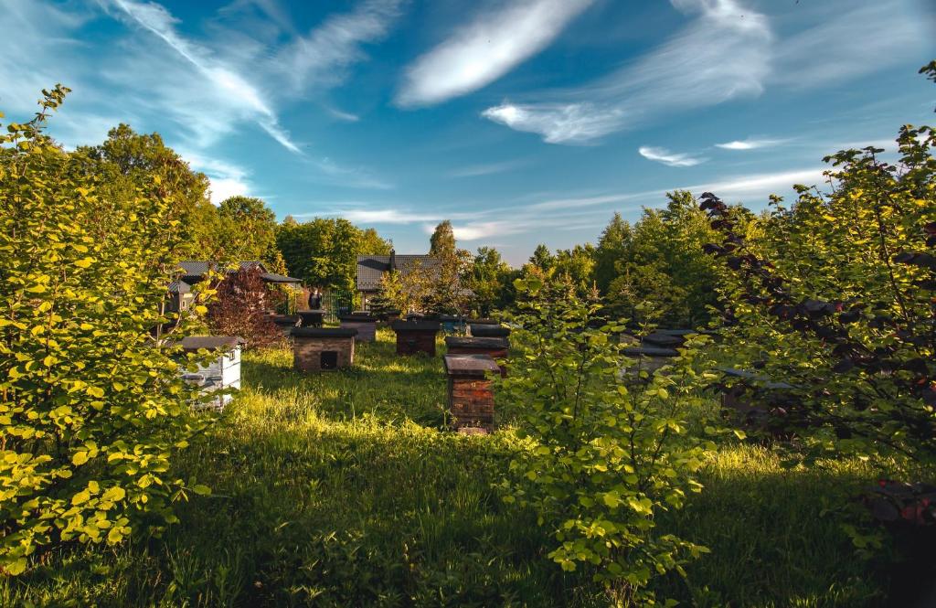 Zakamarek- dom z ogrodem Góry Świętokrzyskie bez sąsiadów, las, 10 osób na wyłączność photo 1