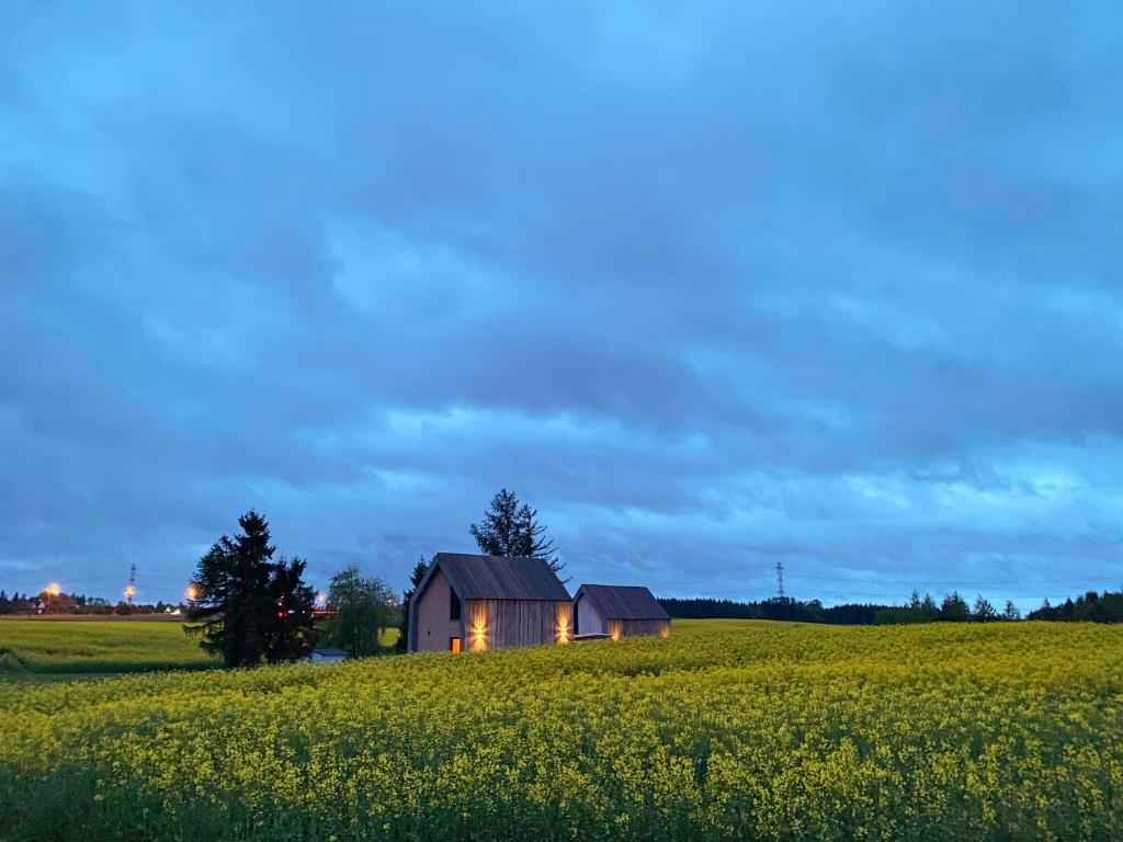 Domki Widok Na Staw photo 3