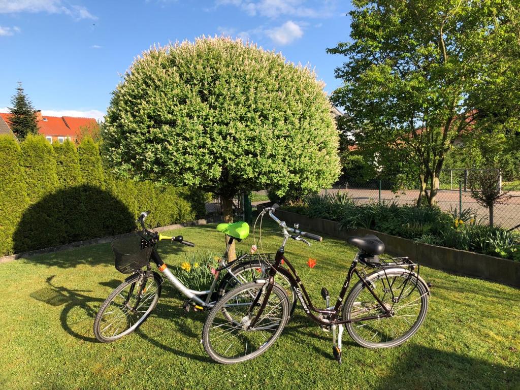 Ferienwohnung Hameln direkt am Weserradweg photo 1