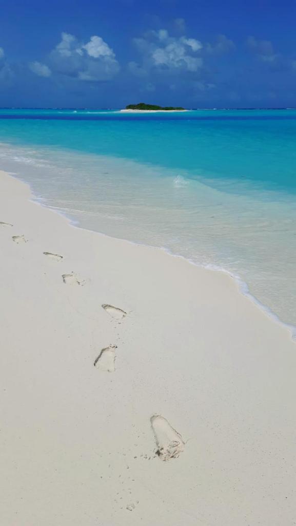 Mystic Maldives Mathiveri Retreat photo 4